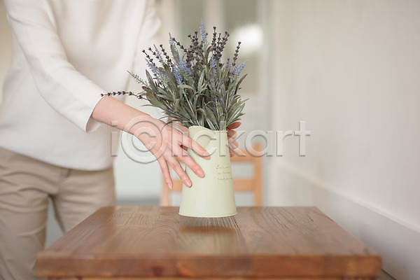이미지 미리보기